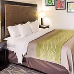 Comfort Inn Downtown Charleston