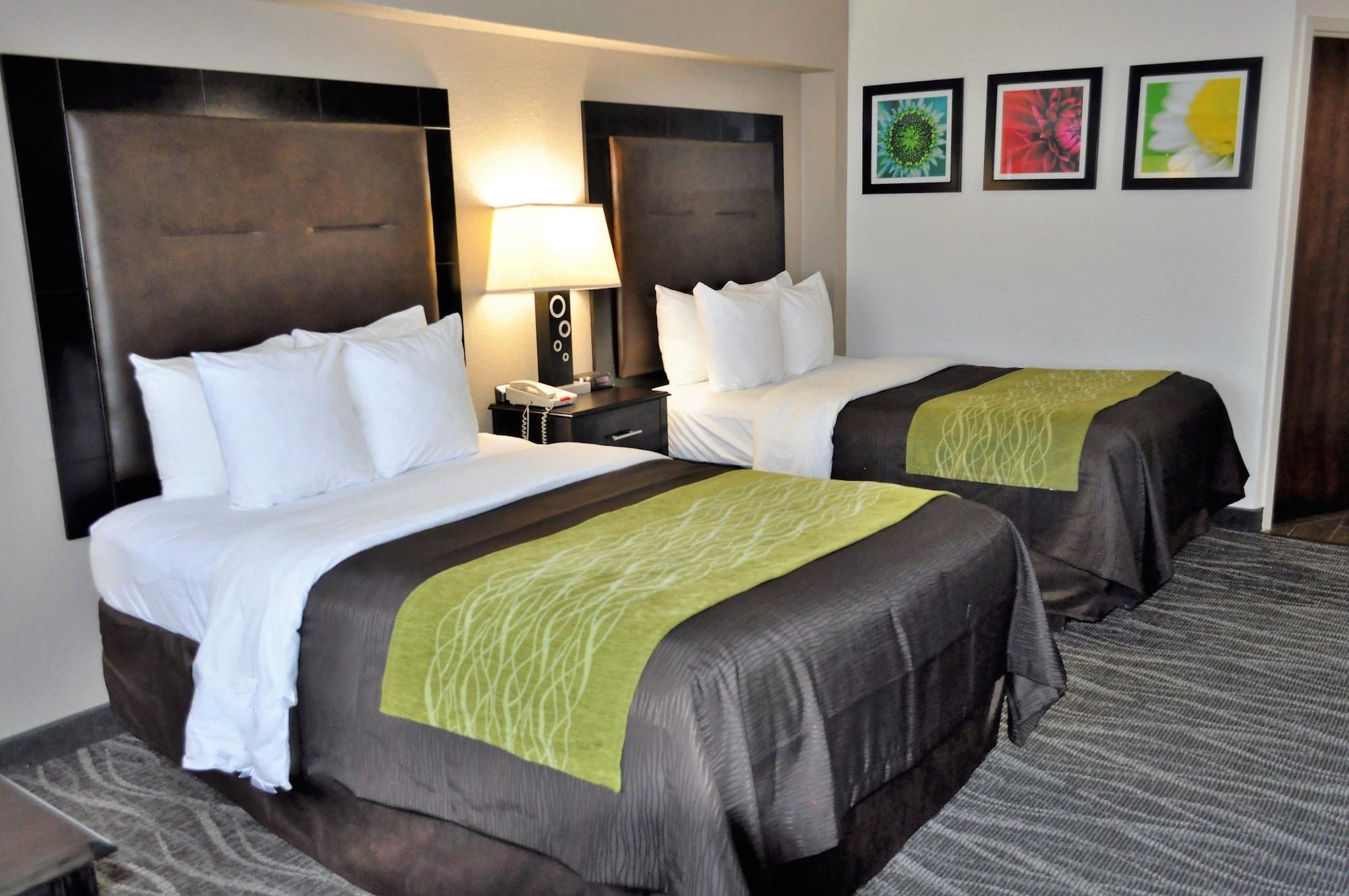 Comfort Downtown Inn Charleston