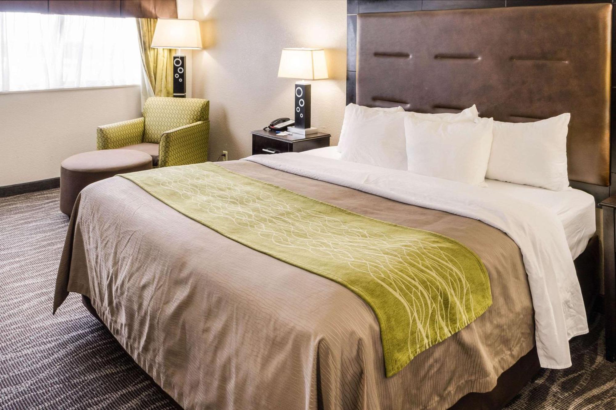 Comfort Downtown Inn