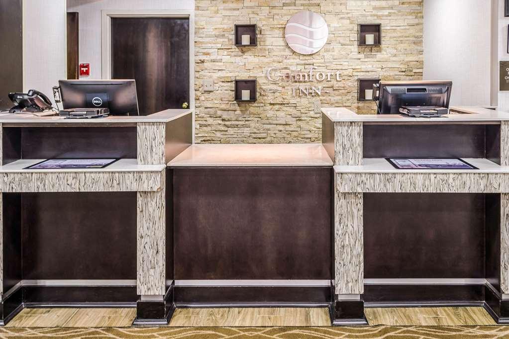 Comfort Downtown Inn Charleston