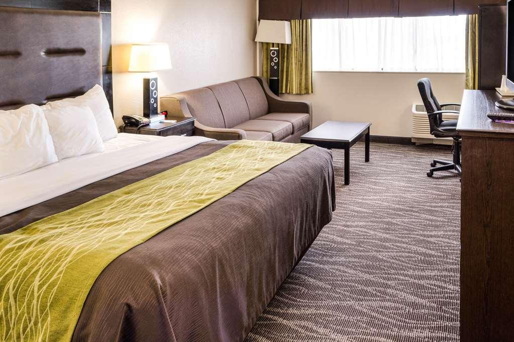 Comfort Downtown Inn Charleston