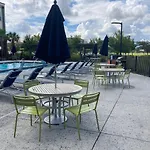 King Bed Pool Trendy Nbhd Sea Turtle