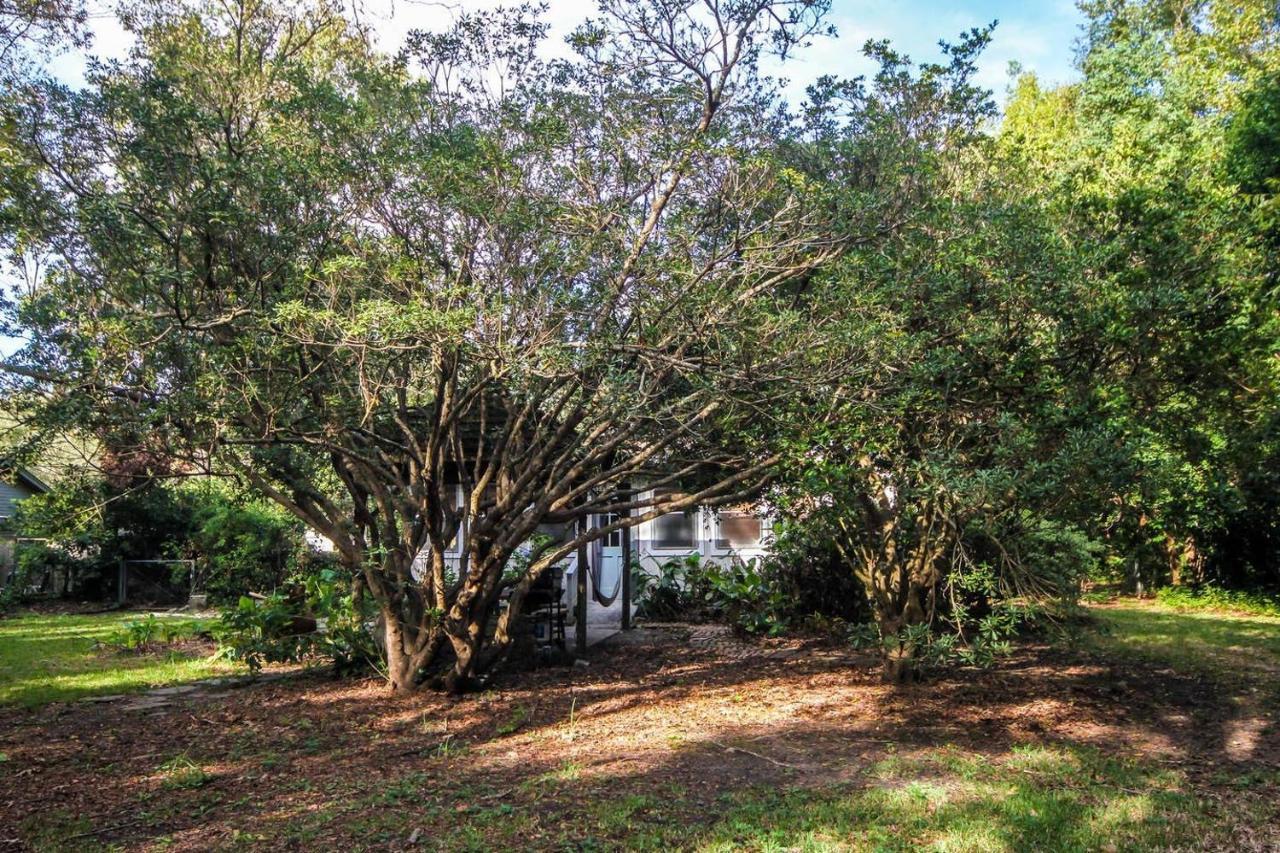 Hip Island House Charleston