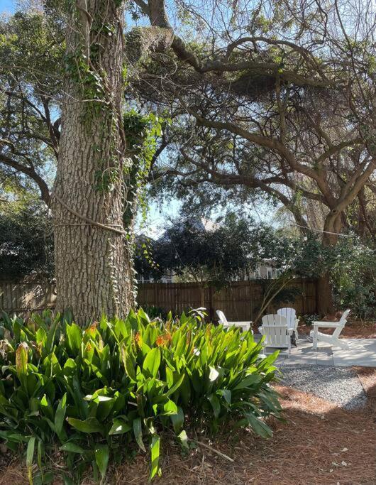 Spacious - 6 Mins To & Downtown Holiday home *
