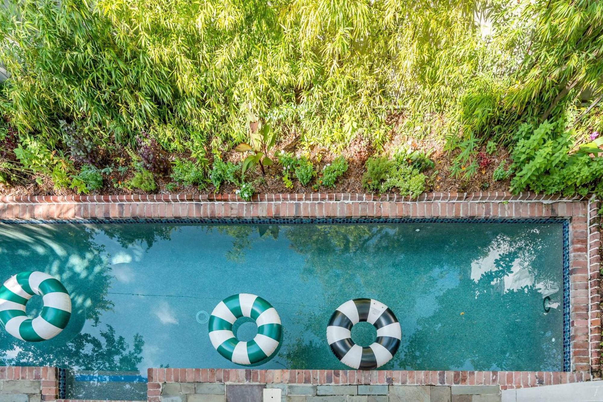 Serene With Beautiful Garden And Heated Pool * Charleston