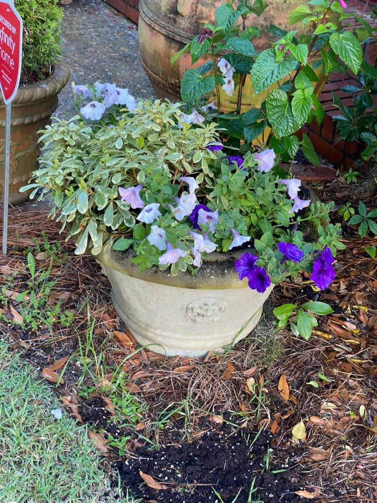La Petite Fleur Rouge Holiday home Charleston