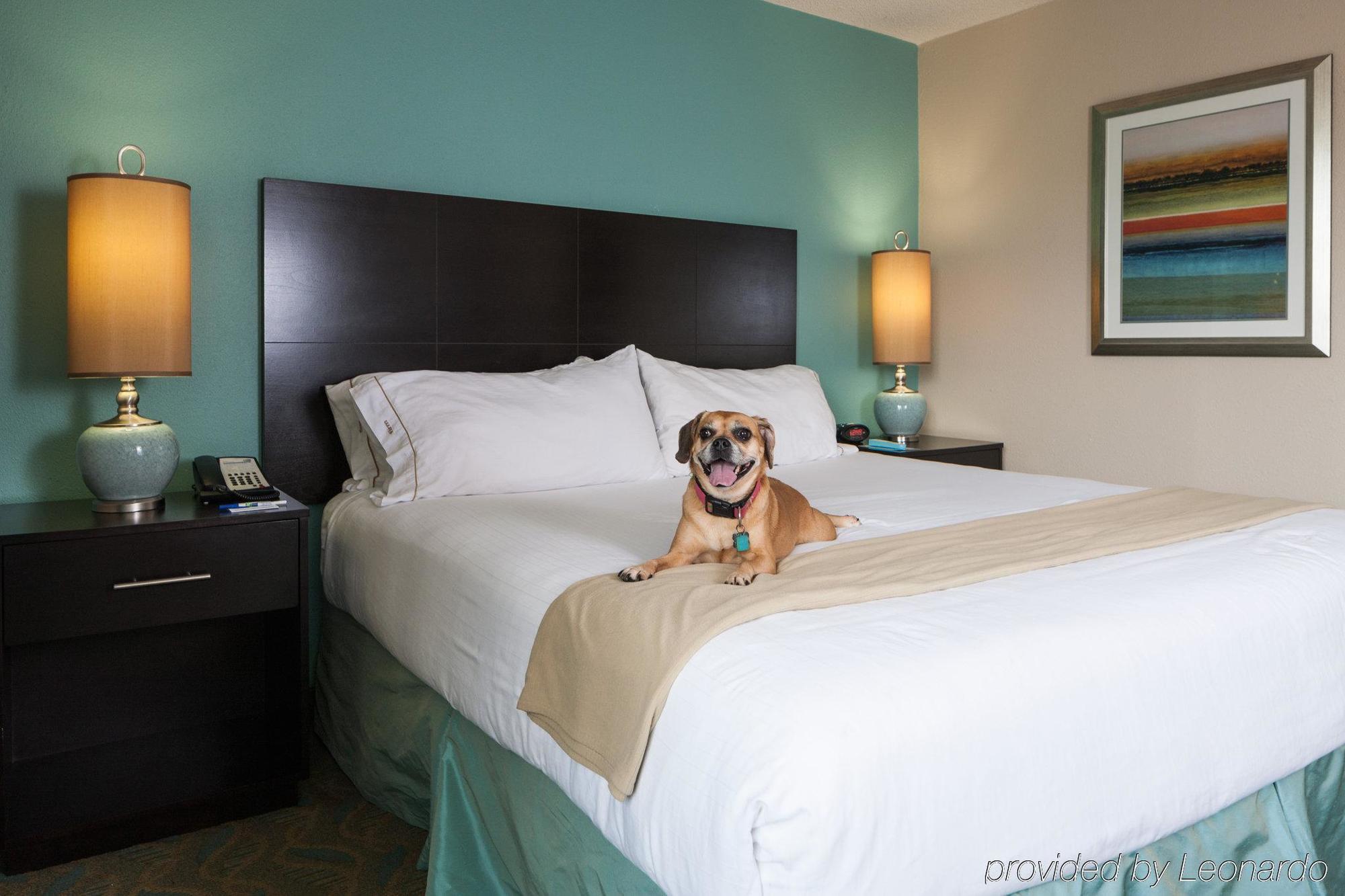 Express & Dwtn -westedge By Ihg 3*