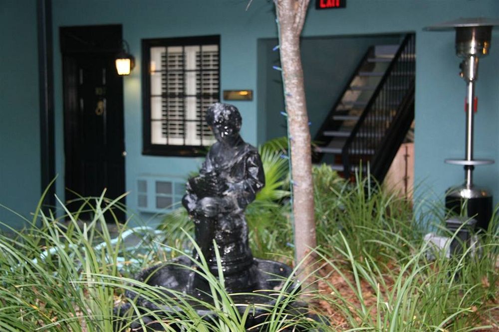 Indigo Charleston