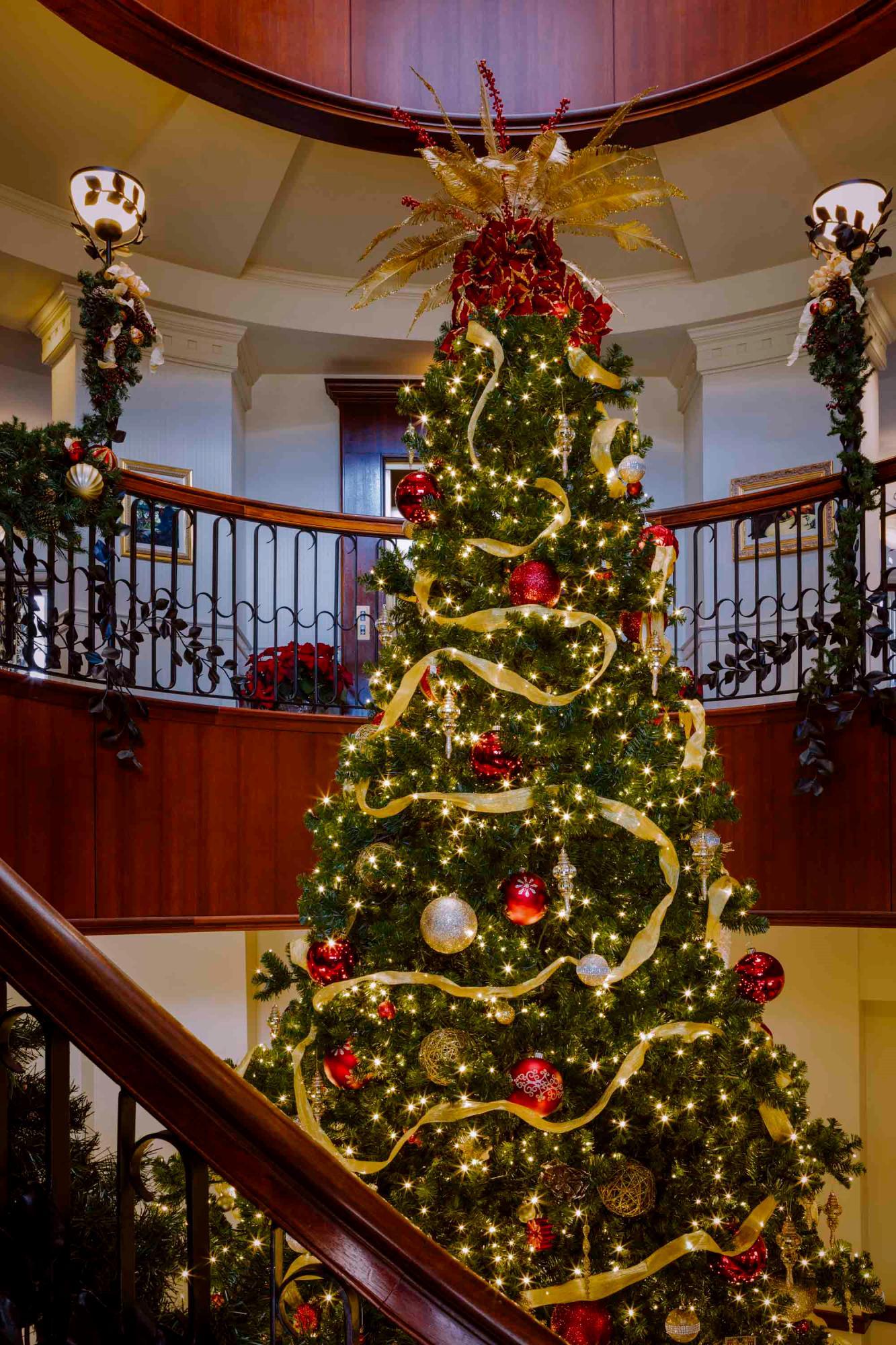 French Quarter Hotel