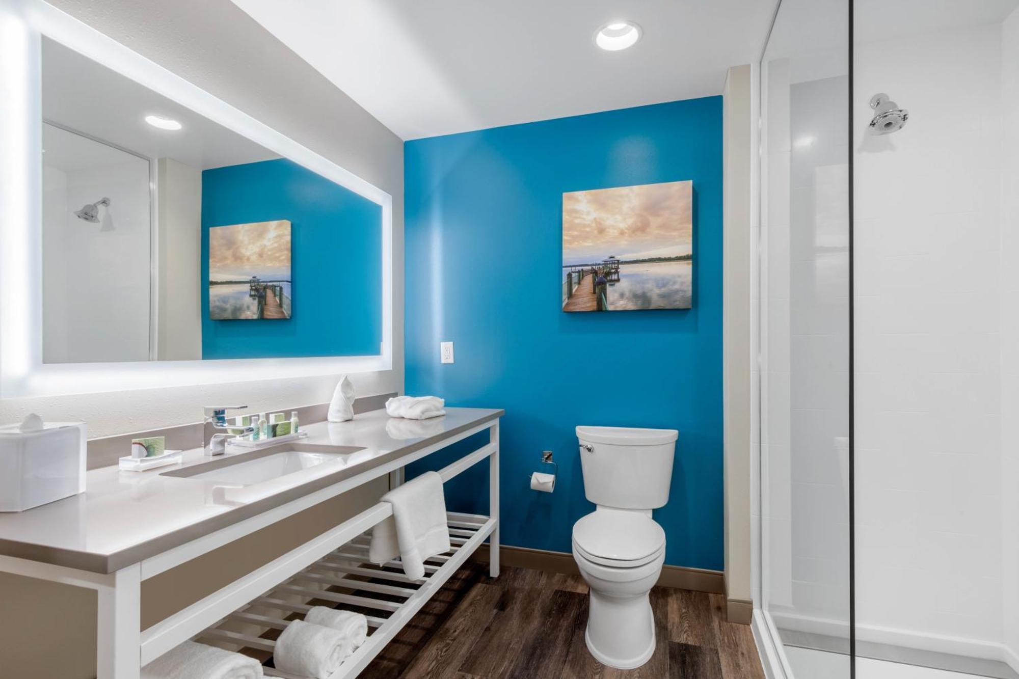 Hotel Cambria Mount Pleasant - 3*