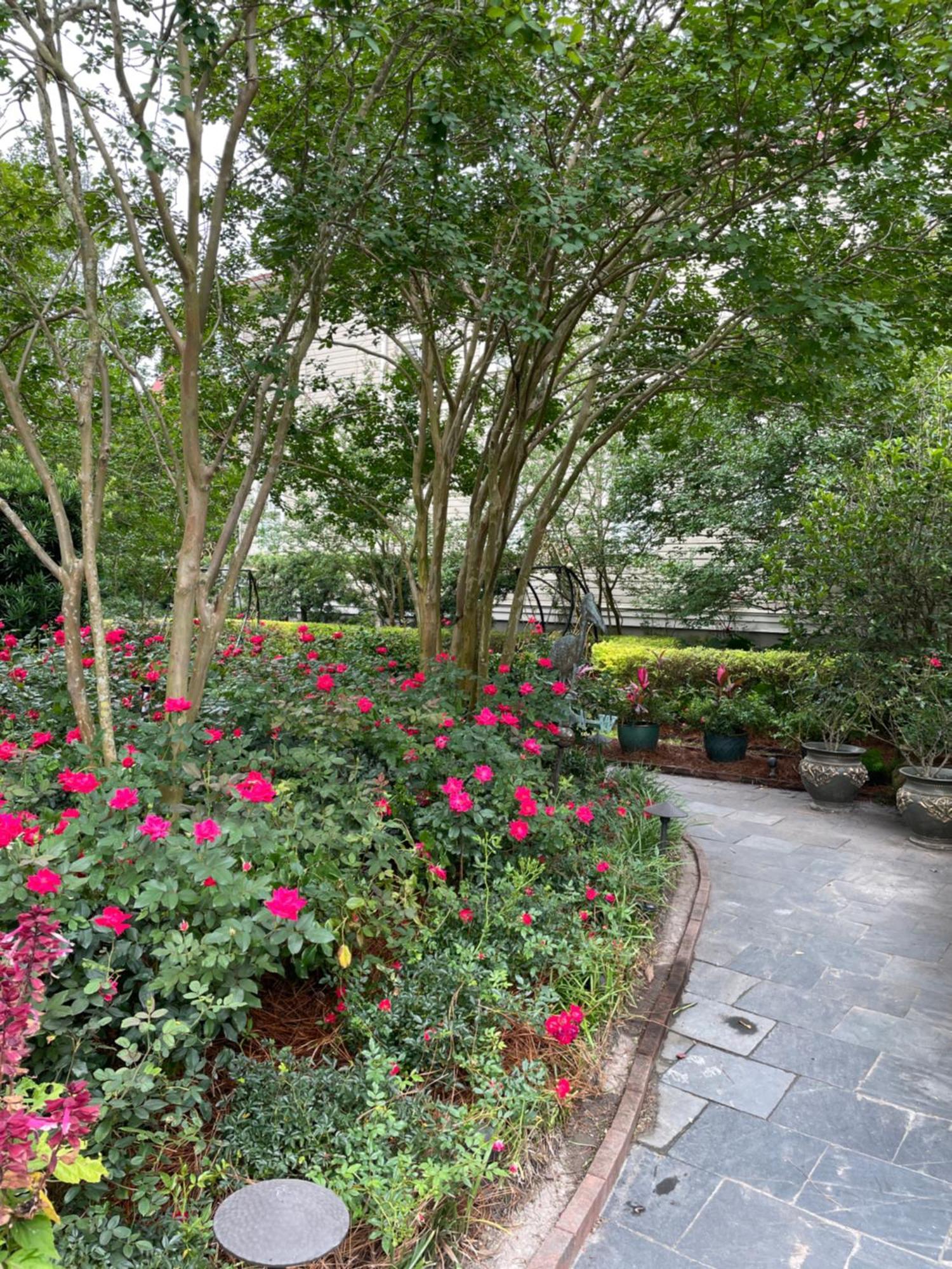 Bed & Breakfast 22 Charlotte Charleston